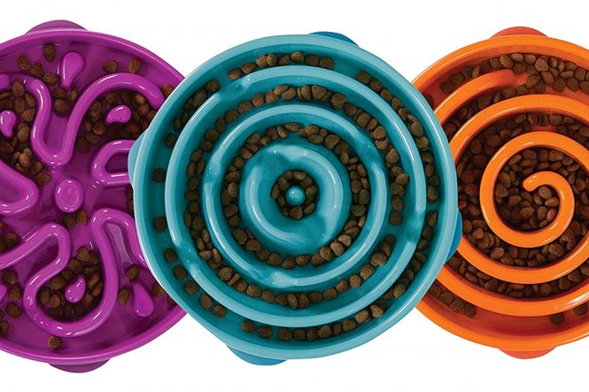 Hovedbilde Fun feeder slow bowl