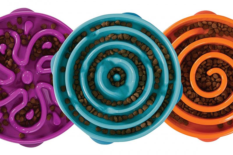 Fun feeder slow bowl
