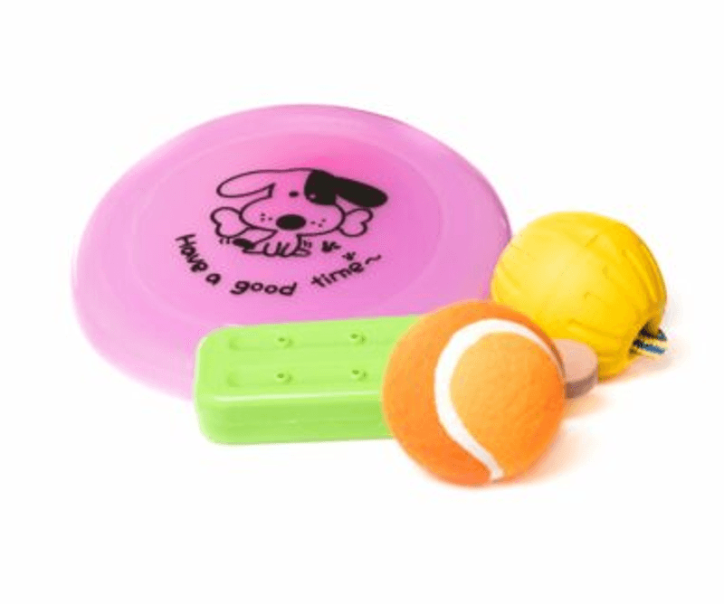 Active Canis Summer Toy Kit