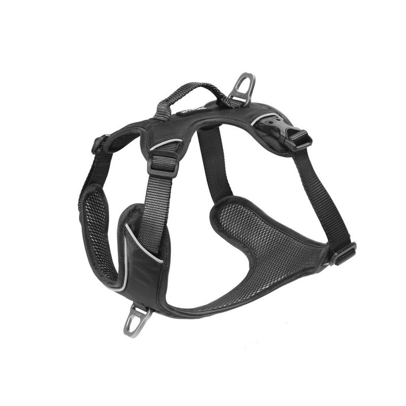 Kyflie Momentum sele XL