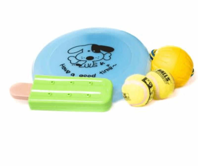 Active Canis Summer Toy Kit