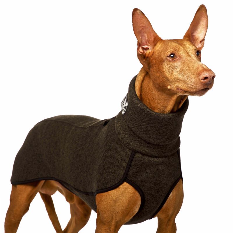 Kevin Jumper 02 L1/L2