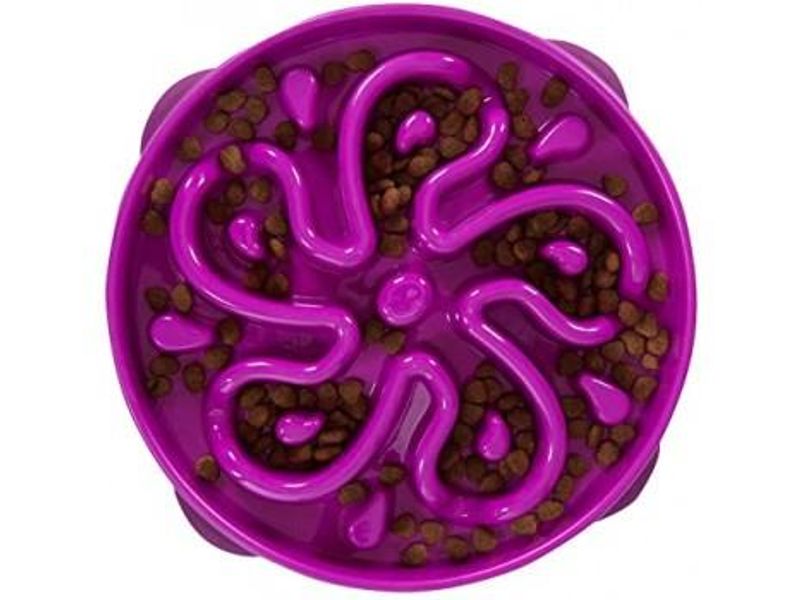 Fun feeder slow bowl